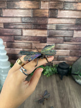 Load image into Gallery viewer, Aura Kyanite Dragonfly