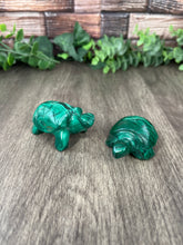 Load image into Gallery viewer, Malachite Turtle