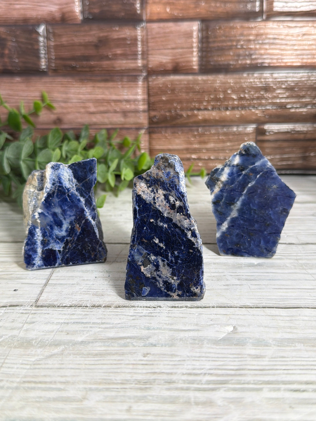 Small Sodalite Half-Polished Freeform