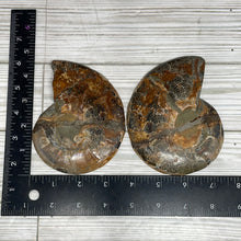 Load image into Gallery viewer, Ammonite Fossil Pair