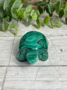 Malachite Turtle Carving