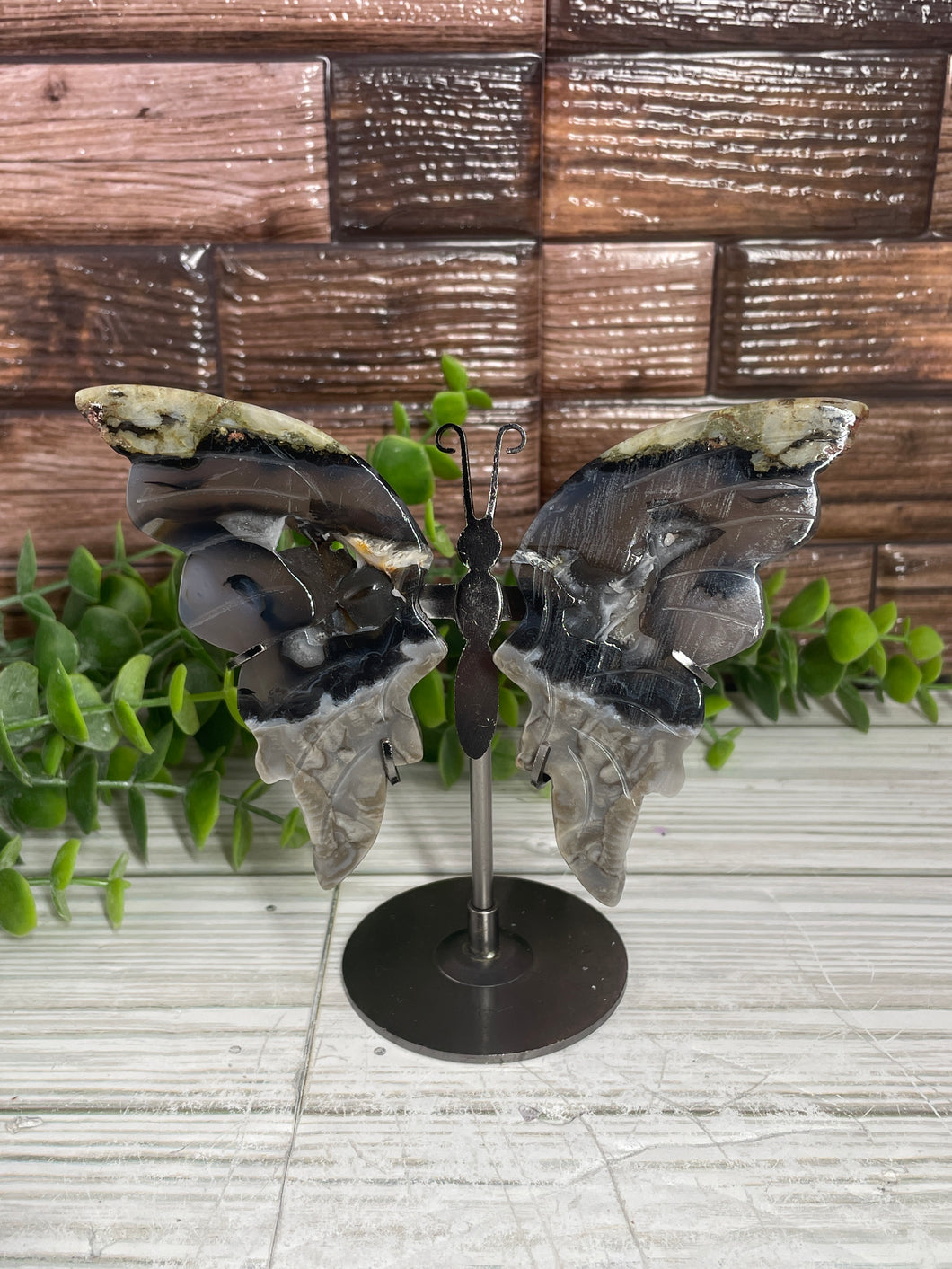 Volcanic Agate Butterfly Wings On Stand