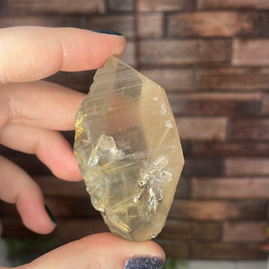 Rutilated Smoky Quartz Point