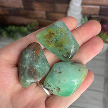 Load image into Gallery viewer, Chrysoprase Tumbled Stone