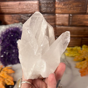 Lemurian Quartz Cluster