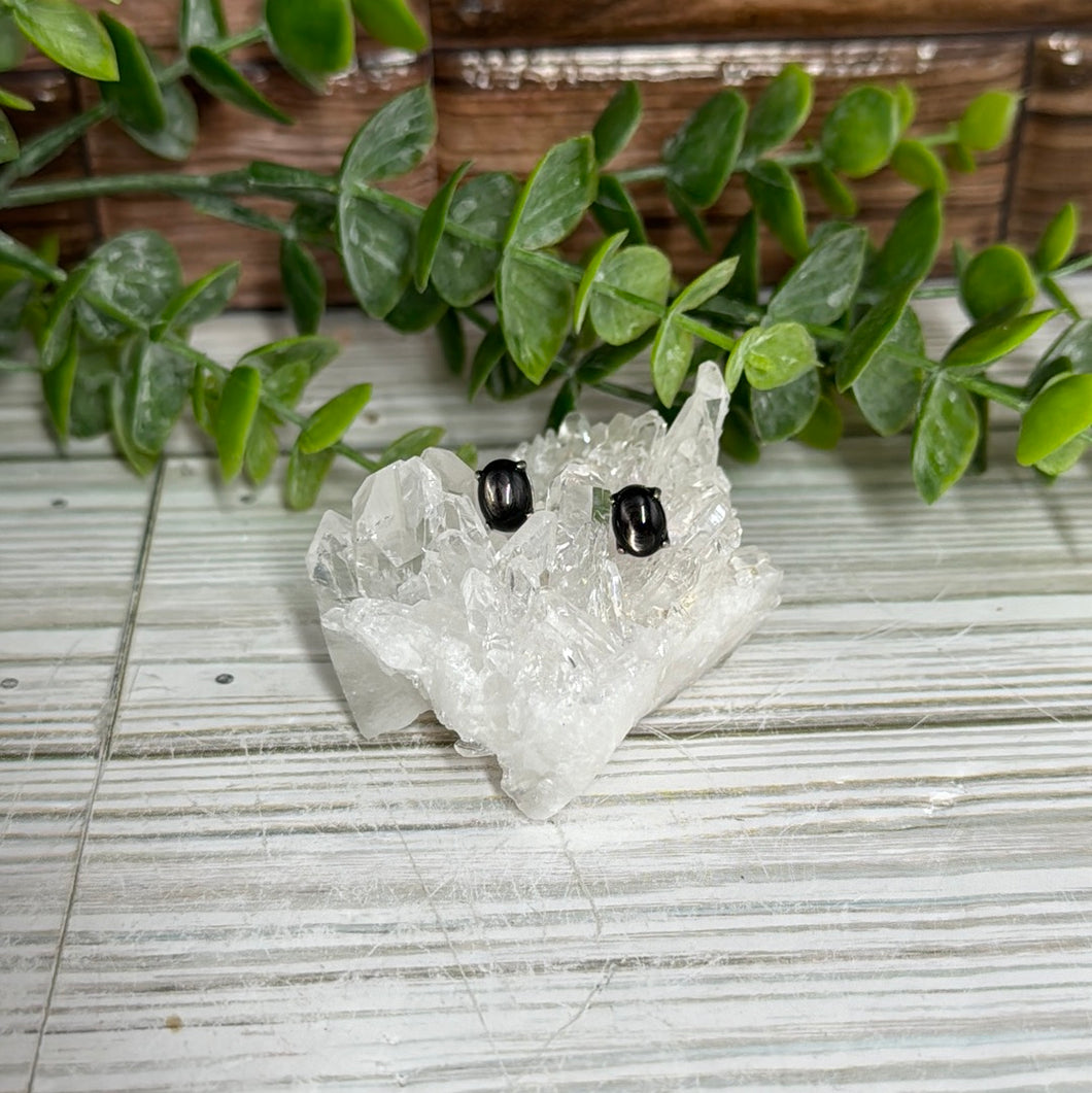 Hypersthene Stud Sterling Silver Earrings