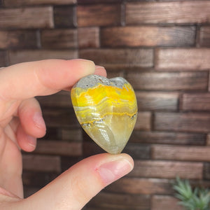 Bumblebee Jasper Heart