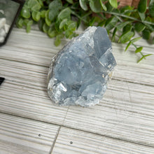 Load image into Gallery viewer, Celestite Cluster