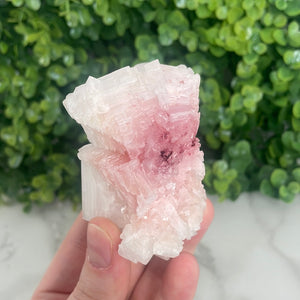 Pink Halite