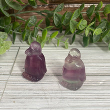 Load image into Gallery viewer, Fluorite Penguin Mini Carving