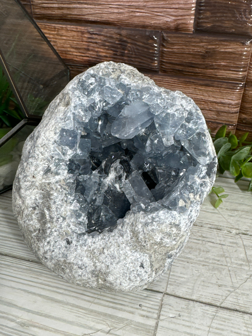 Celestite