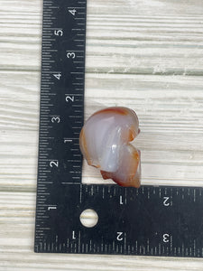 Carnelian Skull