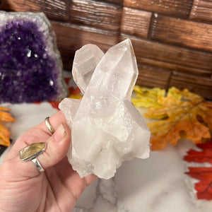 Lemurian Quartz Cluster