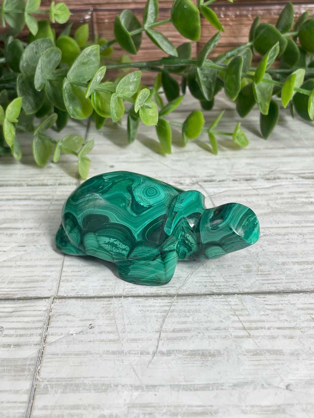 Malachite Turtle Carving