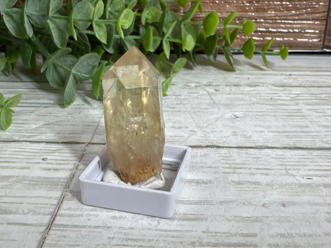 Natural Citrine Point