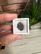 Load image into Gallery viewer, Watermelon Tourmaline Slice