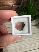 Load image into Gallery viewer, Watermelon Tourmaline Slice