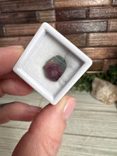 Load image into Gallery viewer, Watermelon Tourmaline Slice