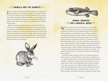 Load image into Gallery viewer, Animal Magic
