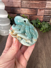 Load image into Gallery viewer, Caribbean Calcite Octopus