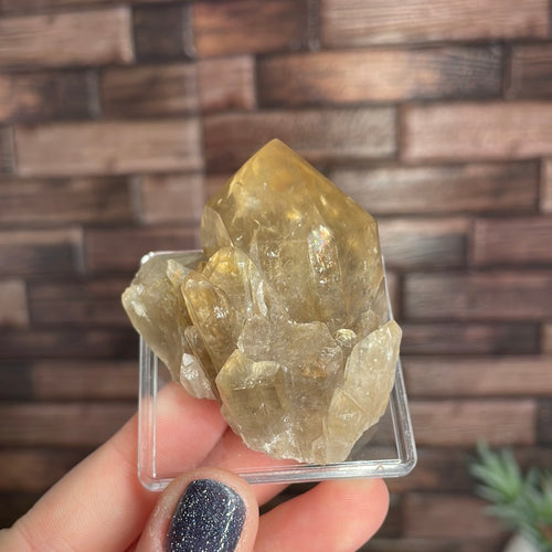 Elestial Citrine