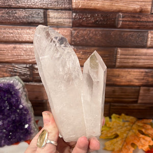 Lemurian Double Point