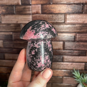 Rhodonite Mushroom Carving