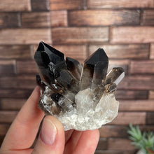 Load image into Gallery viewer, Smoky Quartz Cluster