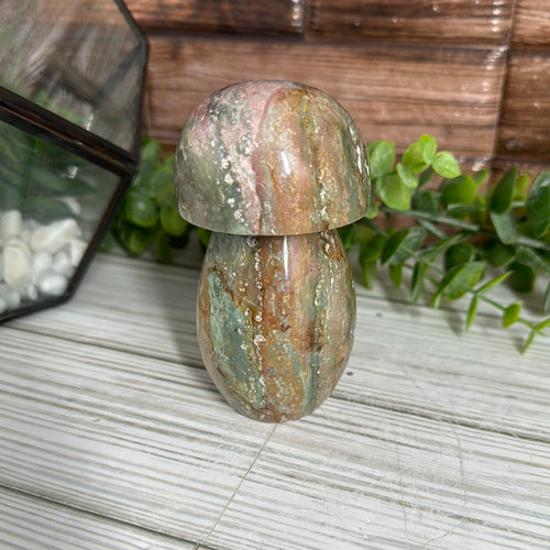 Ocean Jasper Mushroom