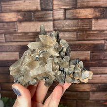 Load image into Gallery viewer, Smoky Quartz With Black Tourmaline Cluster