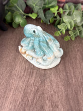 Load image into Gallery viewer, Caribbean Calcite Octopus