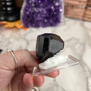 Black Tourmaline on Stand