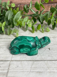 Malachite Turtle Carving