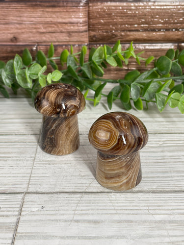 Chocolate Calcite Mushroom Carving