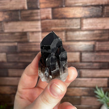 Load image into Gallery viewer, Smoky Quartz Cluster