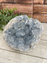 Load image into Gallery viewer, Celestite Cluster