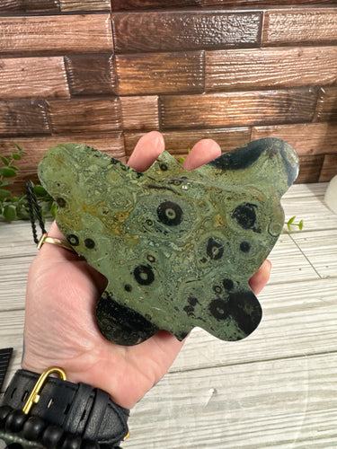 Kambaba Jasper Butterfly