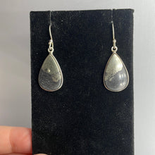 Load image into Gallery viewer, Healer’s Gold Sterling Silver Earrings