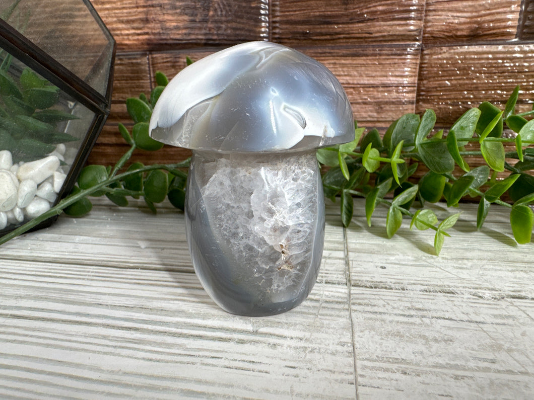 Orca Agate Mushroom