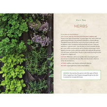 Load image into Gallery viewer, Healing Herbs Handbook: Recipes For Natural Living