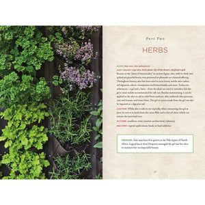 Healing Herbs Handbook: Recipes For Natural Living