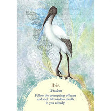 Load image into Gallery viewer, Oracle of the Birds
