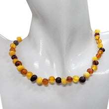 Load image into Gallery viewer, Multi Color Amber Beaded Necklace