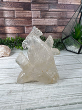 Load image into Gallery viewer, Clear Quartz Parrot Carving