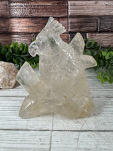Load image into Gallery viewer, Clear Quartz Parrot Carving