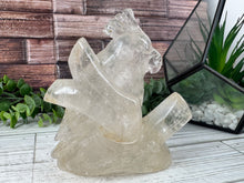 Load image into Gallery viewer, Clear Quartz Parrot Carving