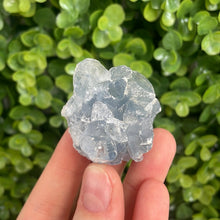 Load image into Gallery viewer, Small Celestite Cluster