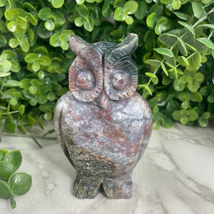 Orbicular Jasper Owl