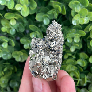 Pyrite Cluster