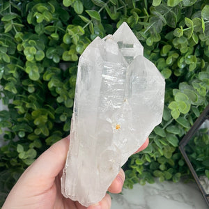 Clear Quartz Cluster